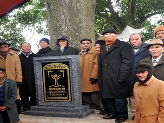 Một số hình ảnh lễ công nhận cây Trôi tại đền làng Trung Linh tỉnh Nam Định là Cây Di sản Việt Nam
